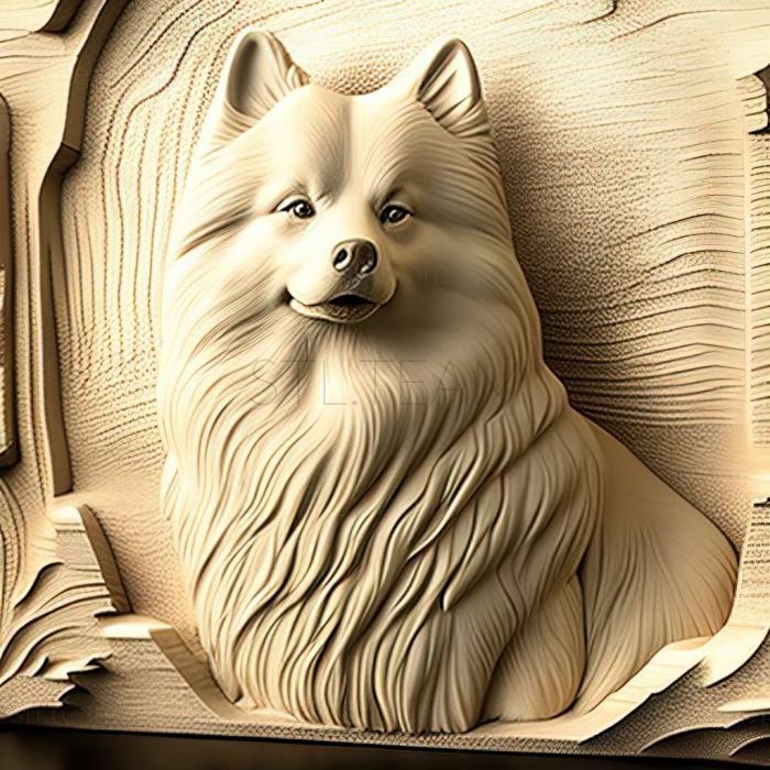 3D model Norbotten Spitz dog (STL)